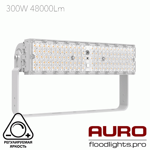Мощный светодиодный прожектор AURO-PRO-FL-G2H-300