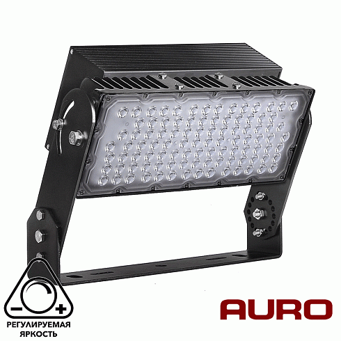 Мощный светодиодный прожектор AURO-PRO-FL-S1-250