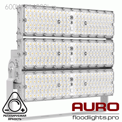 Мощный светодиодный прожектор AURO-PRO-FL-G2H-600b